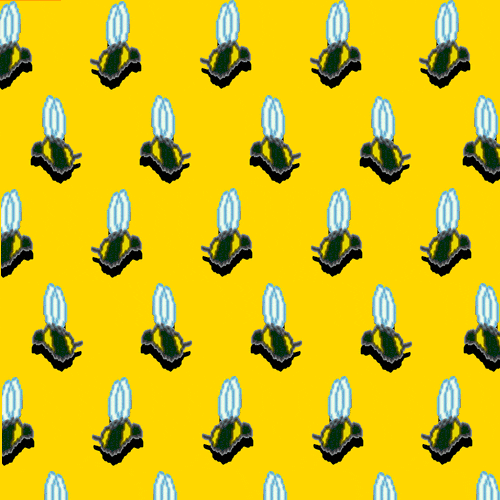 Un'animazione con tante api