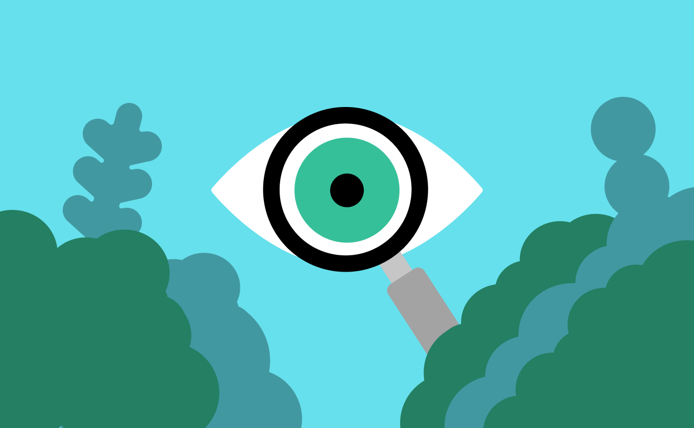 Dove scrivere se, dopo il login, non riesci più a trovare la pagina che ti manda alla dichiarazione di esenzione